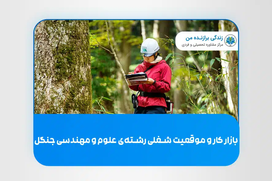 بازار کار و موقعیت شغلی رشته‌ی علوم و مهندسی جنگل